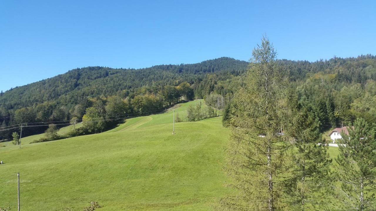 Ferienwohnung In Seen Naehe / 25 Min. Salzburg Stadt Faistenau Exteriér fotografie